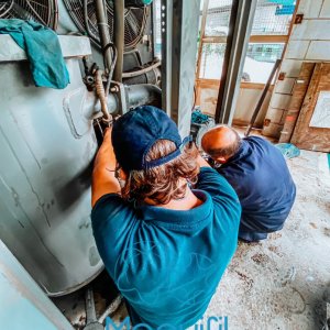 Manutenção de Compressor em Guarulhos